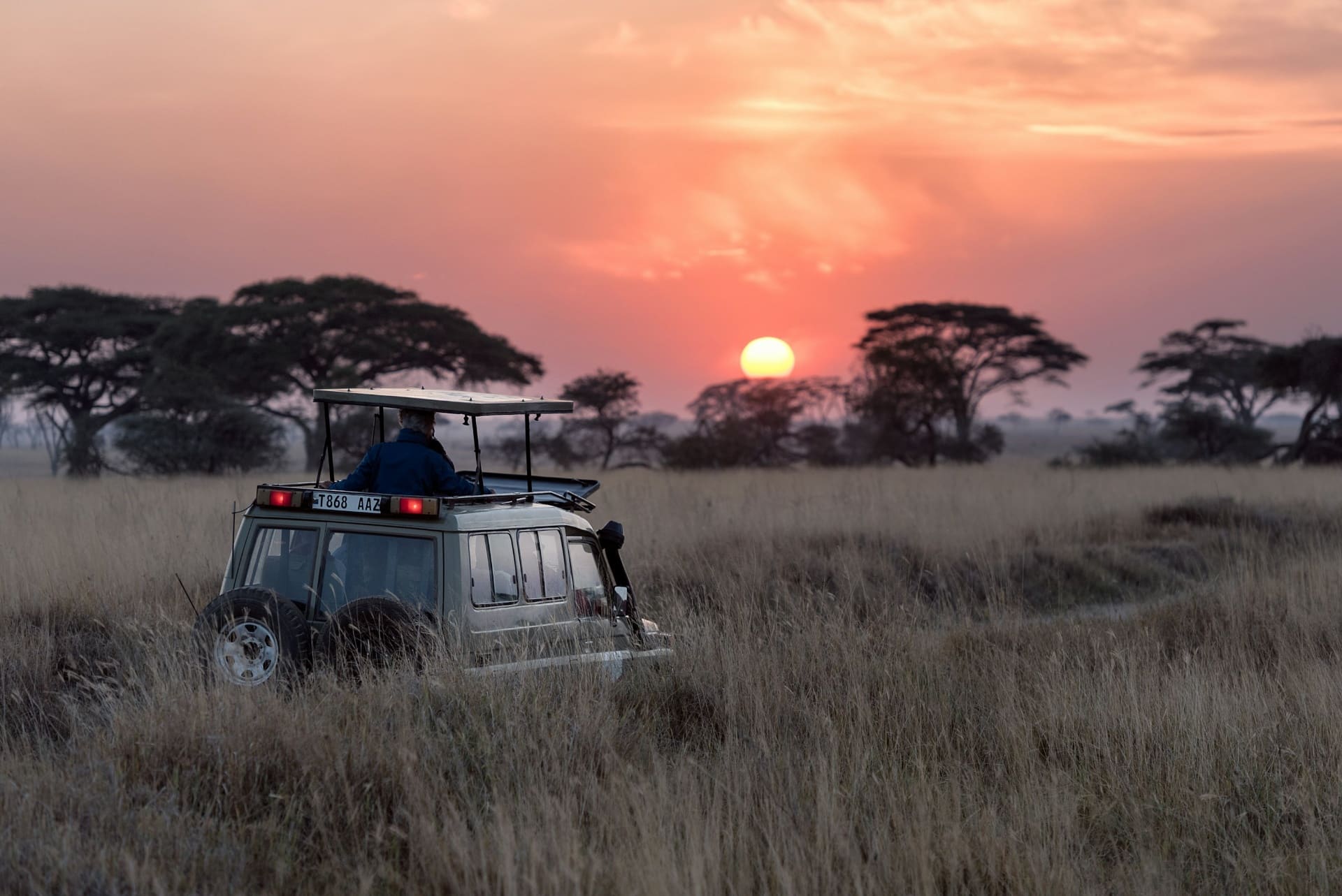 Serengeti Dusk